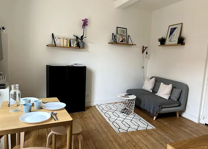 Daire Le Cocon- Superbe T2- 200m De La Plage-deauville *